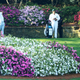 Image for article titled Report: Dumb Beer Ad Phrase Banned From The Masters